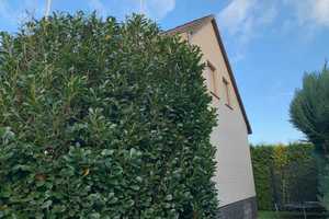 2-Familien-Haus direkt in Gifhorn – Gifhorn (Kreis) – Vorschaubild 7