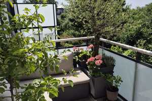 Exklusive, gepflegte 3-Zimmer-Wohnung mit Balkon in Bonn – Mackestr. 19, 53119 Bonn – Vorschaubild 13