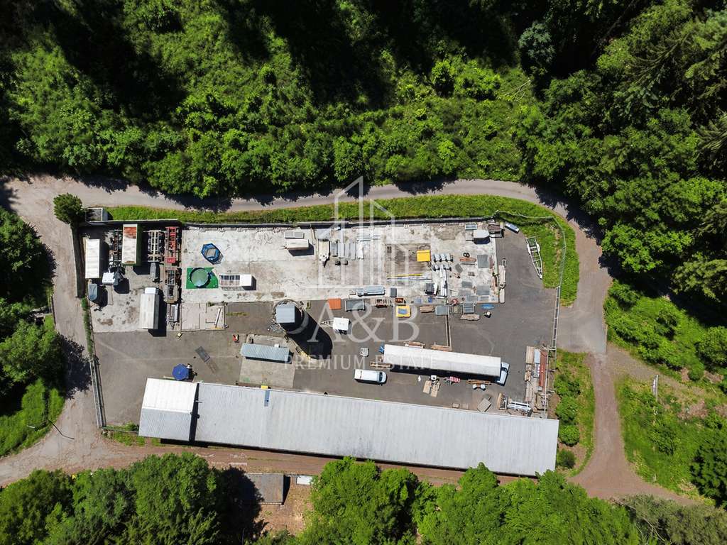 Immobilie in Frankenstein - ** ALLEINLAGE - Jagd und Forstgebiet für MACHER und Projektbegeisterte ** - Bild 1