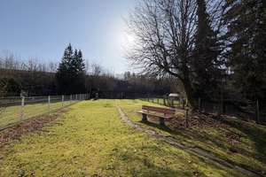 Modernisierte Doppelhaushälfte mit Garage und schönem Garten in zentraler Lage von Seesen – Die vollständige Adresse der Immobilie erhältst du vom Anbieter., 38723 Seesen – Vorschaubild 25