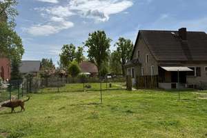 Ruhiges Wohnen am Feldrand in Elbnähe - Einfamilienhaus auf 1523 m² Grund in Elbe-Parey (Derben) – Feldstraße 4, 39317 Elbe-Parey – Vorschaubild 3