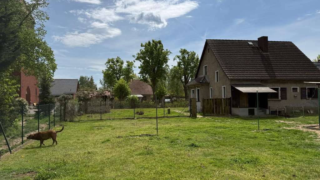 Immobilie in Elbe-Parey - Ruhiges Wohnen am Feldrand in Elbnähe - Einfamilienhaus auf 1523 m² Grund in Elbe-Parey (Derben) - Bild 2