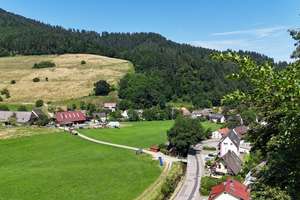 Sonniges Grundstück mit Abriss- und Neubauperspektive Freiburg-Kappel! – Die vollständige Adresse der Immobilie erhältst du vom Anbieter., 79117 Kappel, Freiburg im Breisgau – Vorschaubild 6