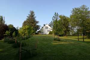 Zweifamilienhaus mit idyllischem Landhausflair  – Essen – Vorschaubild 26