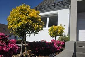 Architekten-EFH mit Galerie | ruhige, zentrale Lage | Garten | Garage | provisionsfrei – Die vollständige Adresse der Immobilie erhältst du vom Anbieter., 42655 Burg/Höhscheid, Solingen – Vorschaubild 4