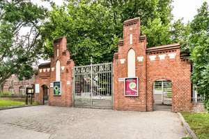 Property thumbnail 10