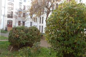 Niedliche 2-Raum-Wohnung in Stadtfeld-Ost sucht neuen Mieter! – Olvenstedter Str. 44, 39108 Stadtfeld Ost, Magdeburg – Vorschaubild 3