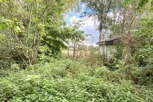 LIEBHABEROBJEKT MIT VERWUNSCHENEM GARTENPARADIES! – 44359 Schwieringhausen, Dortmund – Vorschaubild 8