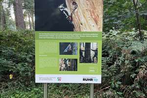 DU – Baerl (Mühlenquartier) Energiesparhaus, inklusive Wärmepumpe, Fußbodenheizung und PV-Anlage!! – An der Hegstiegswiese 60, 47199 Baerl, Duisburg – Vorschaubild 9