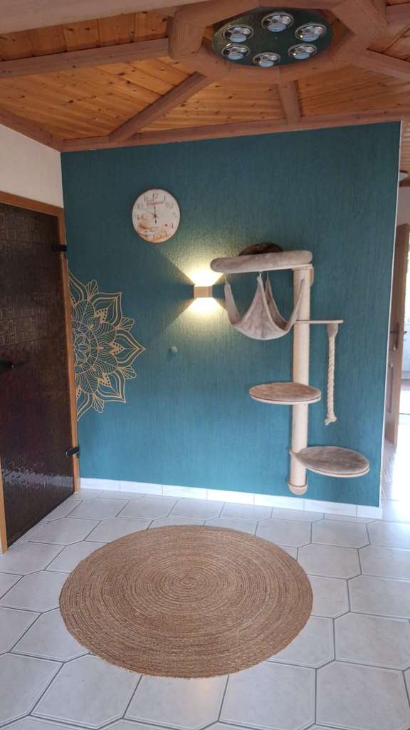 Immobilie in Schöneck/Vogtl. - Ihr neues Kapitel beginnt hier! - Bild 2