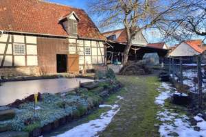 Seltene Gelegenheit: Historisches Herrenhaus mit Entwicklungspotenzial ! – Die vollständige Adresse der Immobilie erhältst du vom Anbieter., 99765 Auleben – Vorschaubild 3