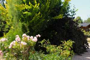 Barrierefreies lichtdurchflutetes EFH in See- und Waldnähe mit großem Garten und Sauna – Dahme-Spreewald (Kreis) – Vorschaubild 25