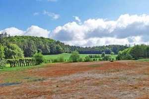 Elegantes Reitanwesen mit Pferdehaltung Fränkische Schweiz – Forchheim (Kreis) – Vorschaubild 4