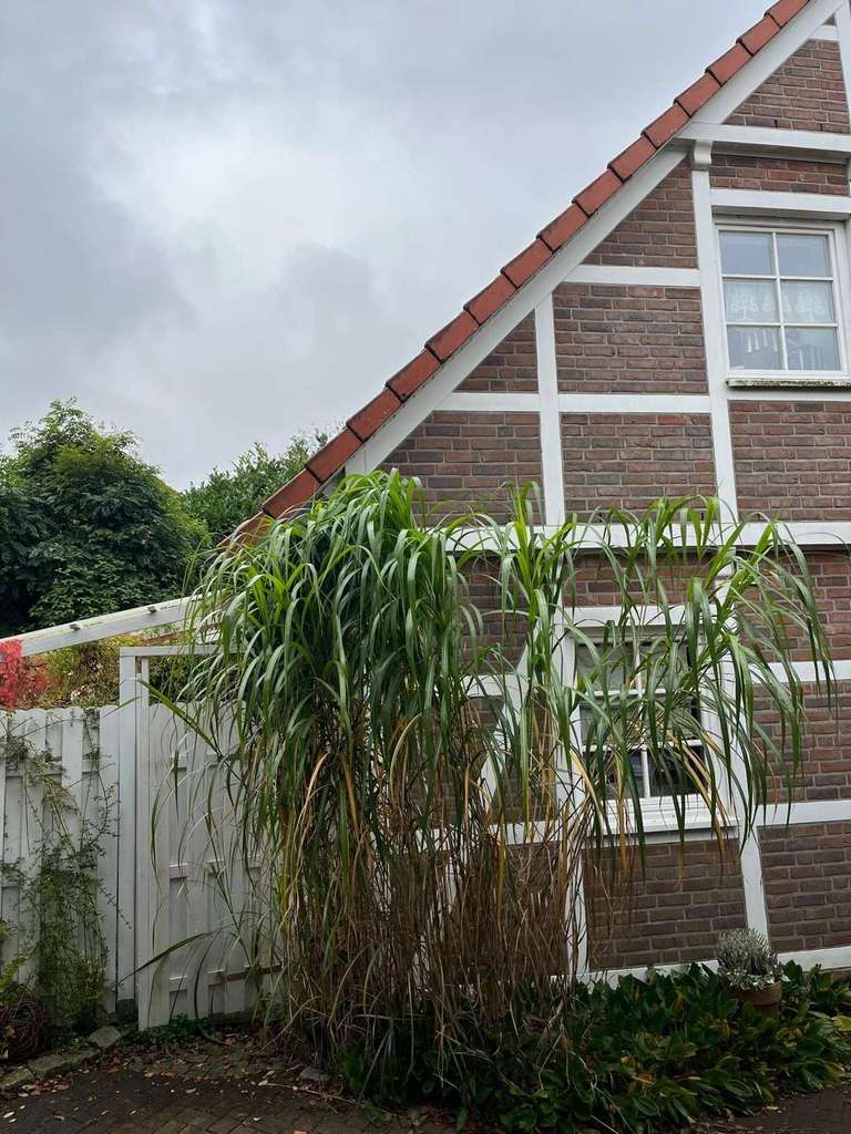 Immobilie in Geestland - Bremerhaven - Langen | Fachwerkhaus in bester Lage! - Bild 1