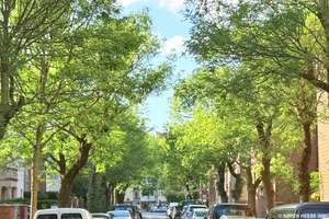 MS-Kreuzviertel! Rarität: Das Stadthaus in Promenadennähe! – Die vollständige Adresse der Immobilie erhältst du vom Anbieter., 48149 Kreuz, Münster – Vorschaubild 2