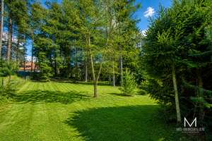MG - Einzigartige Natur-Oase auf 3.000 m² – exklusives Waldanwesen mit Privatsphäre & Potenzial – Die vollständige Adresse der Immobilie erhältst du vom Anbieter., 67705 Trippstadt – Vorschaubild 5
