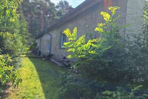"Ein Schätzchen wartet: Ländliches Domizil in idyllischer Gegend – Waldweg 9, 15754 Heidesee – Vorschaubild 2
