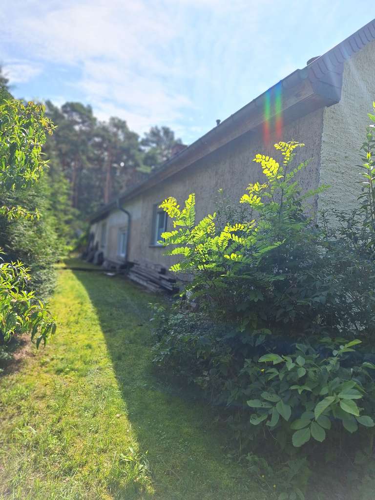 Immobilie in Heidesee - "Ein Schätzchen wartet: Ländliches Domizil in idyllischer Gegend - Bild 3