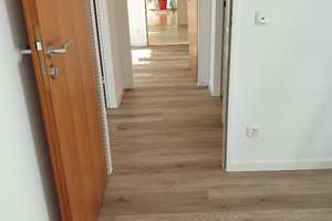 Provisionsfrei/Domblick/4 Zi-Whg/Terrasse/TG-Stellpl/Waldrand/800m bis S-Bahn/in 16 Min am Dom – Diepeschrather Straße 55, 51069 Dellbrück, Köln – Vorschaubild 42