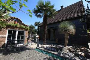 Mediterrane Palmen Insel in Crange – Dorstener Str. 440 a, 44653 Herne – Vorschaubild 4