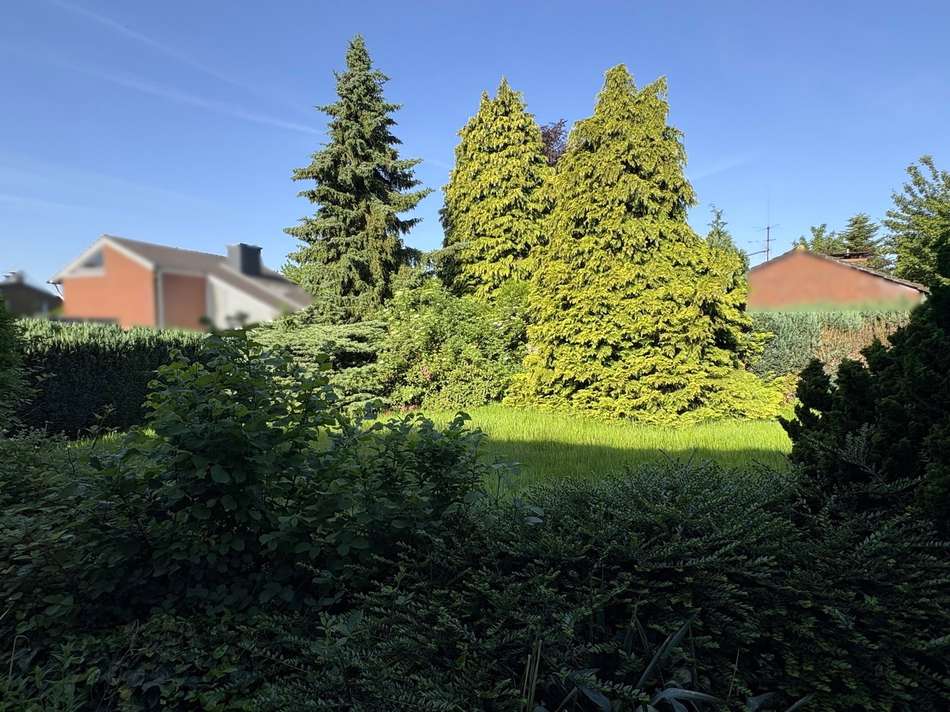 Garten Ansicht 2