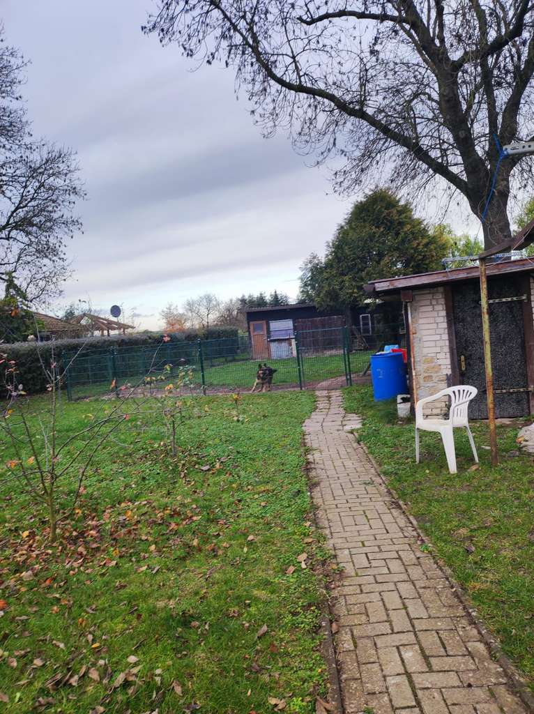 Immobilie in Hohenselchow-Groß Pinnow - Ein- oder Zweifamilienhaus mit großem Garten in schöner Lage - Bild 4