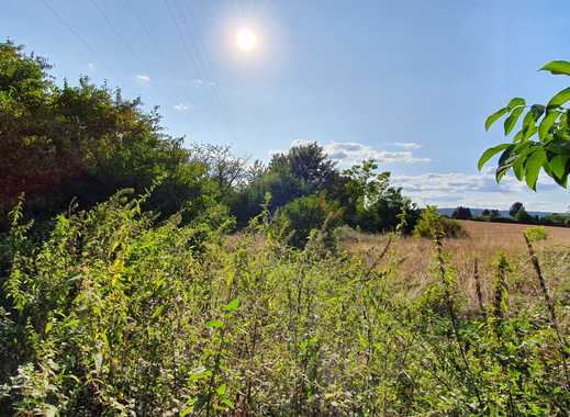 Großzügiges Gartengrundstück/Ackerland in Ortsrandlage von Zeilsheim