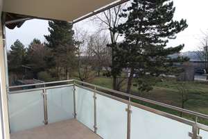 Property thumbnail 17