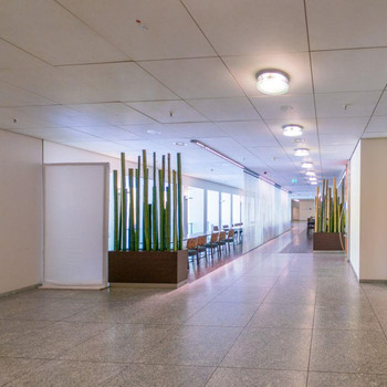 Architektonisches Meisterstück sucht Mieter | besetzter Empfang und alles was das Herz begehrt 