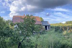 In Ungarn! Weinberg mit Haus in Ungarn, Nähe Balaton – Petöfi Sandor utca 1, 8734 Berlin – Vorschaubild 7