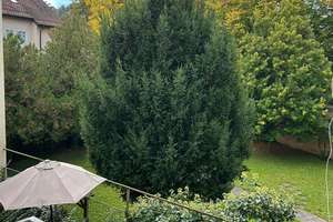 Property thumbnail 19