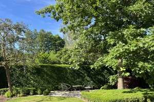 Repräsentative Villa in ruhiger Lage von Bad Homburg-Dornholzhausen – Hochtaunuskreis – Vorschaubild 12
