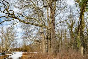 Property thumbnail 18