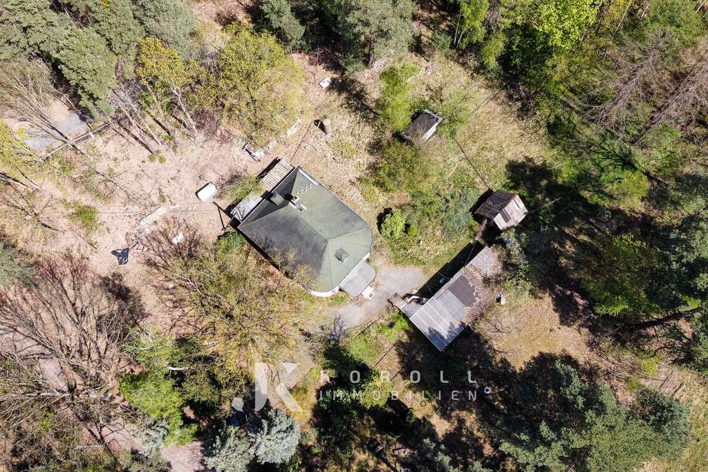 Immobilie in Oßling - Wóslink - Wohnen, wo Stille zuhause ist: Einzigartiges Waldhaus mit maximaler Privatsphäre - Bild 4