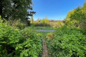 Property thumbnail 19