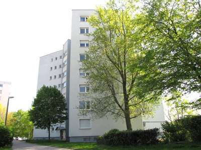 +++GOLDBERG+++S- BAHN+++LAMINAT & FLIESEN+++TGL.- BAD+++HMS+++ETC.+++AB 01.2026+++