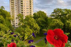 Charmante Eigentumswohnung mit großzügigem Wohnbereich und Balkon - Mit Erbpacht