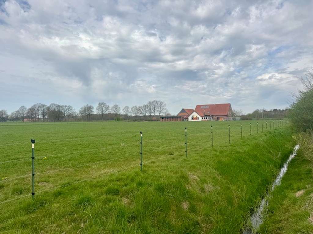 Immobilie in Versmold - Traumhaft gel. Resthof mit Stallungen, Scheune und Wiesen Nähe Heidesee 33775 Versmold-OT Peckeloh - Bild 2