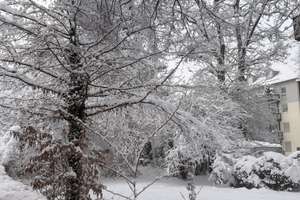 Property thumbnail 8