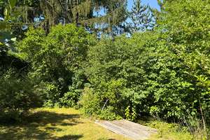 Wohnen mit Charme – hier trifft Alt auf Modern 
DHH mit traumhaftem Garten in Coburg / Cortendorf – Die vollständige Adresse der Immobilie erhältst du vom Anbieter., 96450 Cortendorf, Coburg – Vorschaubild 22