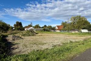 1a Lage in Günzburg! Ehem. Gärtnerei, 2 Wohnhäuser mit 5500m2 Grund mit großem Potenzial! – Die vollständige Adresse der Immobilie erhältst du vom Anbieter., 89312 Günzburg – Vorschaubild 11