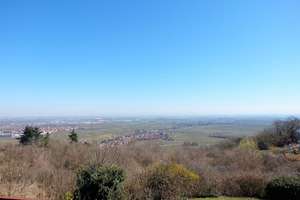 Freistehendes Architektenhaus mit 180°-Panoramablick – ein Lebensjuwel am „Balkon der Pfalz“ – Die vollständige Adresse der Immobilie erhältst du vom Anbieter., 67271 Battenberg (Pfalz) – Vorschaubild 4