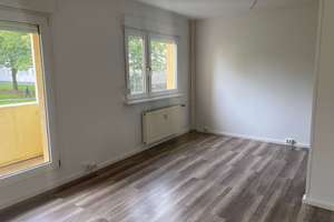 Gemütliche 3-Zimmer-Wohnung am Stadtrand von Neustadt, idyllisch im Grünen mit Loggia und Mieterlass – Alfred-Brehm-Weg 9, 6122 Nördliche Neustadt, Halle (Saale) – Vorschaubild 9
