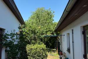 Grünes Familienidyll in Berlin-Marzahn – Ihr neues Zuhause mit Herz & Potenzial – Althansweg 3, 12685 Marzahn, Berlin – Vorschaubild 5