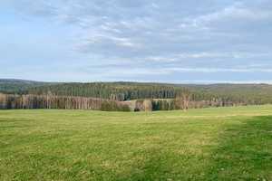 Schönes Ein-/Zweifamilienhaus in idyllischer Wohnlage ! – Vogtlandkreis – Vorschaubild 14