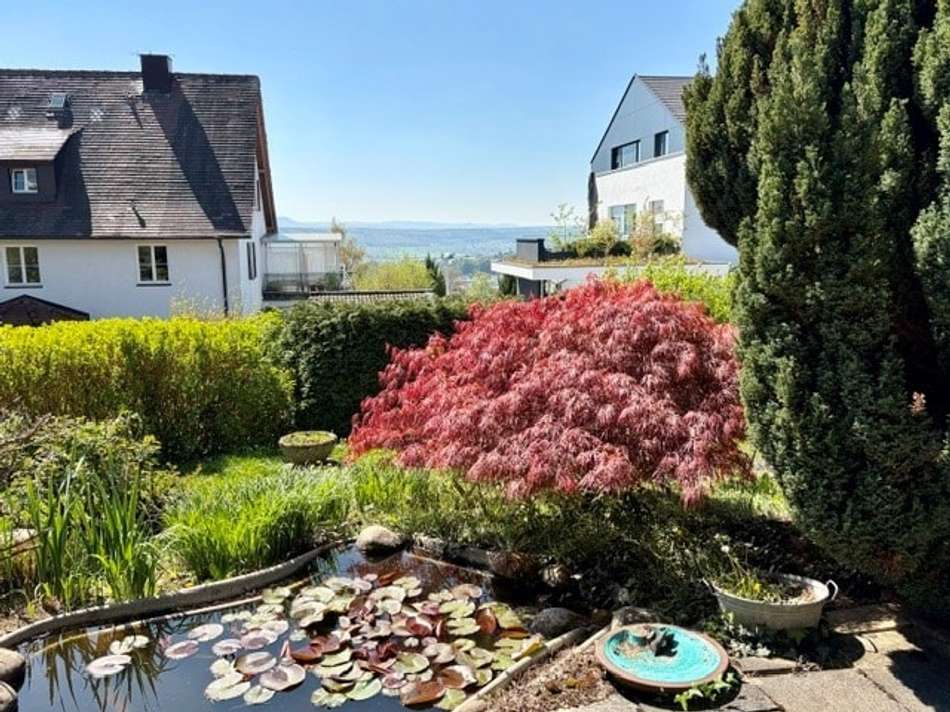 Gartenansicht mit Teich