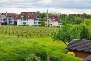 3-Familienhaus zu vermieten – Lörrach (Kreis) – Vorschaubild 42