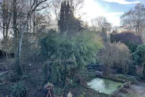 Property thumbnail 23