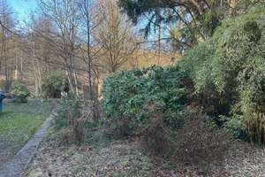 Vom Grundstück direkt aufs Kanu und die Bille entlang. – Die vollständige Adresse der Immobilie erhältst du vom Anbieter., 21029 Bergedorf (Ortsteil), Hamburg – Vorschaubild 3