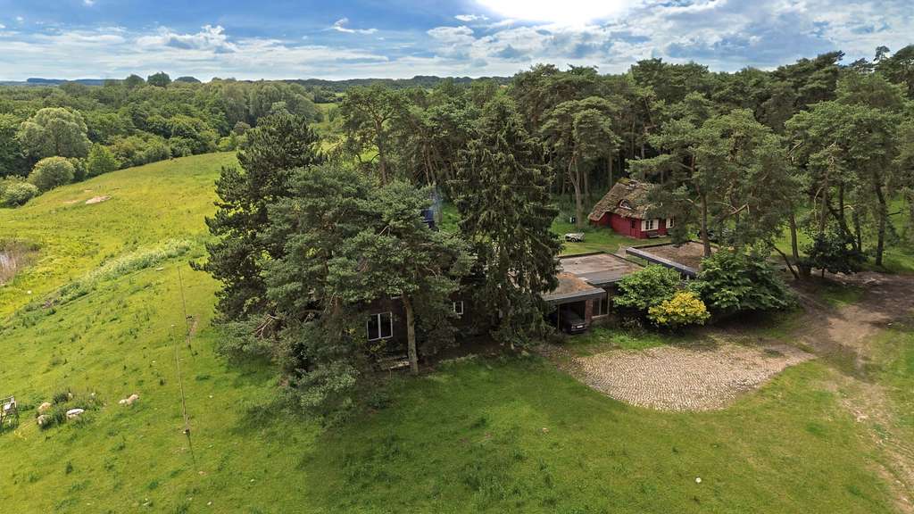 Immobilie in Groß Grönau - Landhaus auf 80 Hektar in Flusslage - Bild 2